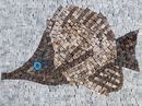 Brown Butterfly Fish Mosaic close-up