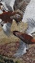 Large Birds in Flight Mosaic крупным планом