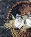 Cats in a Basket Mosaic close-up