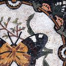 Бабочка Мозаика крупным планом