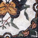 Бабочка Мозаика крупным планом