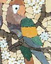Eclectic Parrots Mosaic close-up