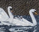 Swan Family Mosaic close-up