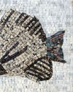 Дизайн Кухня Рыба Мозаика крупным планом