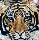 Bengal Tiger Portrait Mosaic close-up