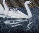 Swan Family Mosaic close-up