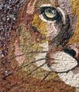 Mosaik Puma, 60 cm Zoom
