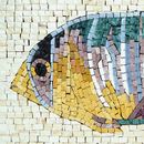 Мозаика, рыба крупным планом