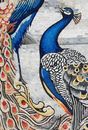 Brightly Colored Peacocks by the Sea Mosaic close-up