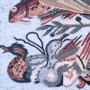 Рыбы, утки, мозаика крупным планом