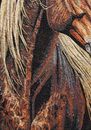 Brown Horse Mosaic Portrait close-up