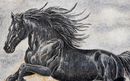 Black Stallion Mosaic Wall Art крупным планом