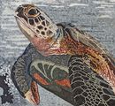 Sea Turtle Swimming in Coral Reef Mosaic close-up