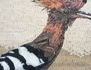 Eurasian Hoopoe Mosaic close-up