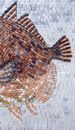 Rosy Fish Mosaic close-up