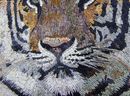 Tiger Bengalisch Mosaik Zoom