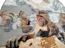 Group of Macaques Bathing in the Sunshine Mosaic крупным планом