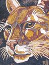 Cougar Portrait Mosaic close-up
