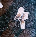 Weißes Blumen-Tetraptychon Mosaik Zoom