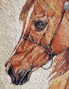 Braunes Pferd Vignette Mosaik, 95x120 cm Zoom