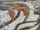 Two Fish and a Coral Reef Mosaic close-up