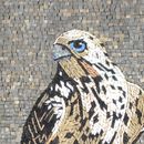 Falcon Mosaic close-up