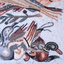 Рыбы, утки, мозаика крупным планом