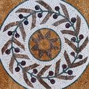 Растения Мозаика крупным планом