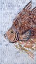 Rosy Fish Mosaic close-up