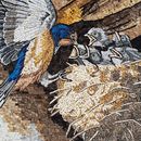Mother Bird Feeding Baby Birds Mosaic close-up
