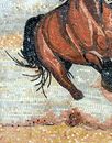 Brown Horse Running Mosaic close-up