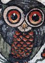 Птица Сова Мозаика крупным планом