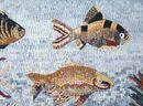 River Fish Mosaic close-up