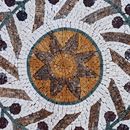 Растения Мозаика крупным планом