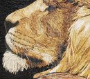 Portrait of Lion and Eagle Mosaic крупным планом