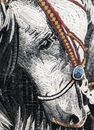 Oval Portrait of a Horse Mosaic close-up