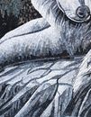 Wolf und Weißkopfseeadler in den Bergen Mosaik, 100x135 cm Zoom