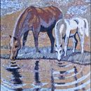 Cool Toned Horse Duo Drinking at Stream Mural Mosaic close-up