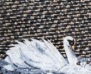 Pond Swans Mosaic Art крупным планом