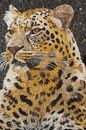 Leopard Laying on Rocks Mosaic Wall Art close-up