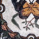 Бабочка Мозаика крупным планом