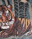 Tiger im Dschungel Mosaik Zoom