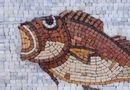 Maroon Carp Mosaic close-up