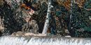 Waterfall Mosaic close-up