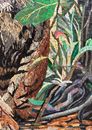 Jungle Bengal Tiger Mosaic Wall Art крупным планом