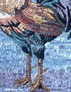Rooster Mosaic close-up