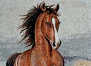 Бегущий конь, мозаика, 75x100 см крупным планом