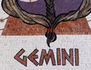 Gemini Twins Mosaic close-up