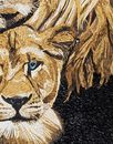 Portrait of Lion and Lioness Mosaic крупным планом