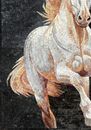 Mosaik Pferd Weiß Zoom